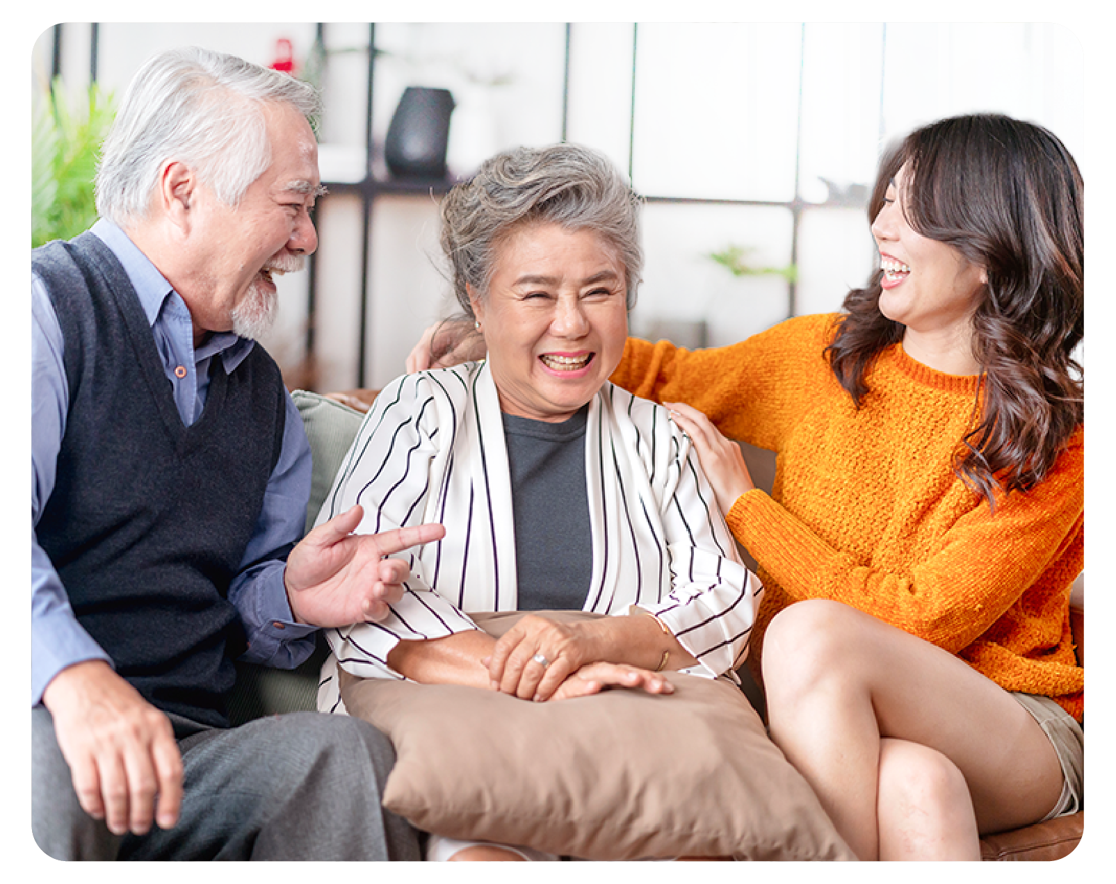 แพมเพิสผู้ป่วย