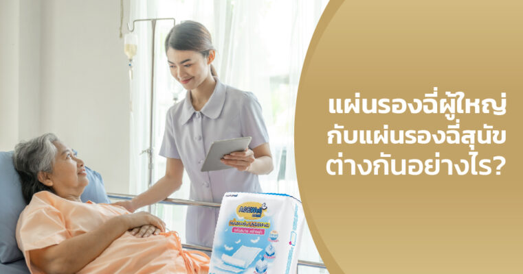 แผ่นรองฉี่สุนัข
