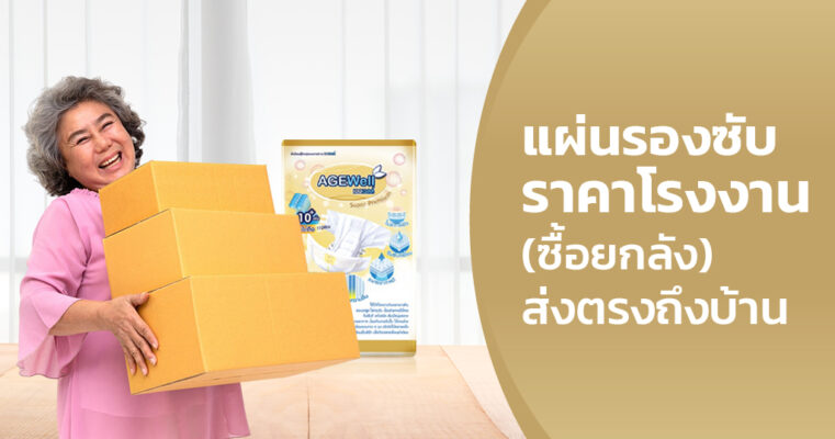 โรงงานผลิตแผ่นรองซับ