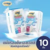 AGEWell แผ่นรองซับผู้ใหญ่ Size XL ขนาด 60x90 ซม. (10ชิ้น)